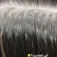 آموزش تخصصی اکستنشن مو با بیش از ۱۰ سال تجربه|خدمات آموزشی|تهران, هروی|دیوار