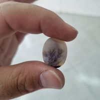 دو عدد انگشتر شجر  رکاب زنجان و رکاب قم|جواهرات|تهران, خلیج فارس|دیوار