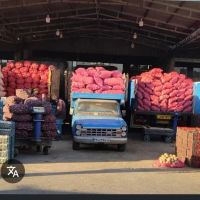 اجاره-غرفه-میدان-بار-سپاد