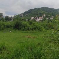 فروش-قطعه-زمین-در-رامسر