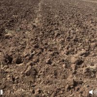 زمین-کشاورزی-روستا-پیراقوم-ده-کیلومتر-جاده-خلخال