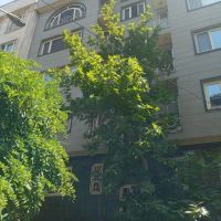 شمال-جردن-120متر-نور-جنوب-مشاعات-آبی-شخصی