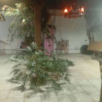 اجاره-مغازه-500-متر-تعاون