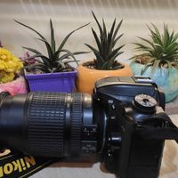 Nikon D7500|دوربین عکاسی و فیلم‌برداری|تهران, جردن|دیوار