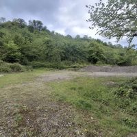 263-متر-زمین-جنگلی-داخل-بافت-روستای-برند