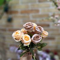 رز هلندی بوته ای ۱۰گل|گل مصنوعی|تهران, امامزاده حسن(ع)|دیوار