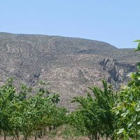 باغ-شهری-با-آب-کامل