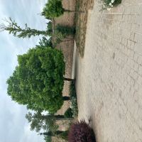 پیش-فروش-آپارتمان