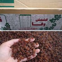 کنسرویجات روغن مربا عسل تن ماهی رب گوجه|عمده‌فروشی|تهران, گمرک|دیوار