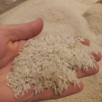 برنج طارم هاشمی|خوردنی و آشامیدنی|تهران, نظام‌آباد|دیوار
