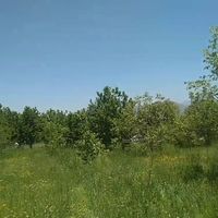 یک قطعه باغ 15 ساله روستای قلات رش|فروش خانه و ویلا|پیرانشهر, |دیوار