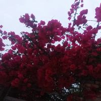 رهن-کامل-خونه