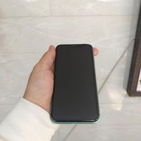 iPhone11|موبایل|تهران, شمیران‌نو|دیوار