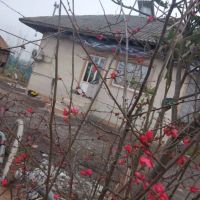 فروش-فوری-ویلا-با-1750متر-زمین