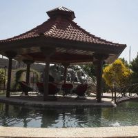 زمین-و-کلنگی-800-متر-مناسب-ساخت-متل-قو