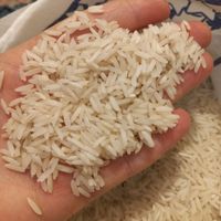 برنج طارم هاشمی|خوردنی و آشامیدنی|تهران, نظام‌آباد|دیوار