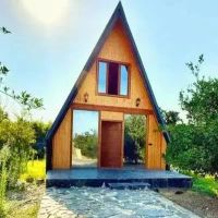 کلبه-سوئیسی-با-همه-امکانات-منطقه-امن-و-دنج