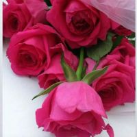 آپارتمان-یک-خواب-60-متر-خانواده-و-مجرد