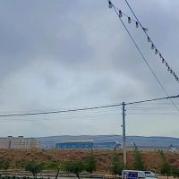 رهن-و-اجاره-دوخواب-شیک-و-تمیز