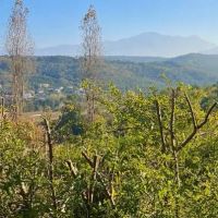 200-متر-سند-دار-رامسر