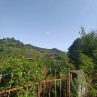 زمین-ویلایی-متراژ730متر-با-لوکیشن-بی-نظیر-هودول