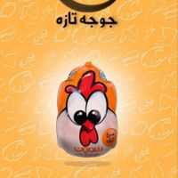 پخش مرغ عمده سمین(تازه ،منجمد)|عمده‌فروشی|تهران, خلیج فارس|دیوار