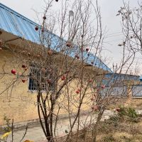 اجاره-اداری-مطب-اموزشگاه-مسکونی