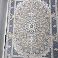 فرش قالی میلان|فرش|شیراز, میانرود|دیوار