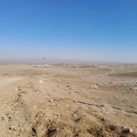 فروش-گاوداری