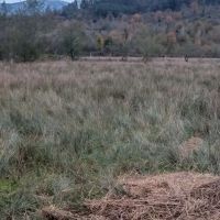 300متر-با-پروانه-ساخت-100متری-کوه-پایه-ای-واقعی