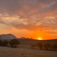 مزرعه-کشاورزی-و-دامپروری