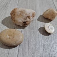 سنگ فسیل جواهرات کلکسیونی شهاب سنگ|جواهرات|تهران, باغ فیض|دیوار