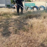 علف زنی باغ با دستگاه علف زن و باغبانی|خدمات باغبانی و درختکاری|تهران, خاک سفید|دیوار