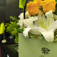 واگذاری-فست-فود-خاص