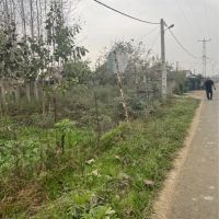 براسفالت-در-نفوت-10631متر-مربع-با-چوب-چهارساله