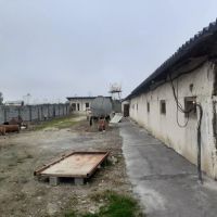 مرغداری-9000تایی