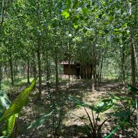 ویلایی-برای-روزهای-خستگی-شما