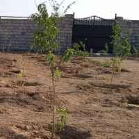 باغ-چهار-دیواری-امکانات-تکمیل