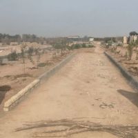 فروش-باغ