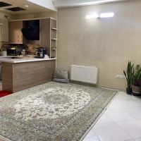اپارتمان-51متری-نقلی-بسیار-دلباز
