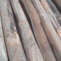 خرید .چوب خشک چوب سقف. صنوبر .تخریب از خودمون|خدمات باغبانی و درختکاری|اردبیل, |دیوار