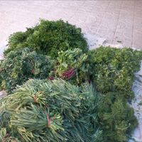 سبزی قورمه سبزی|خوردنی و آشامیدنی|تهران, بهاران|دیوار