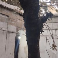 اطاق-ده-متری-از-ملک-حیاطی-300متری-مسکونی-کارگاه