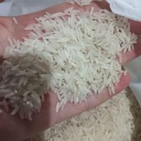 برنج طارم هاشمی|خوردنی و آشامیدنی|تهران, نظام‌آباد|دیوار