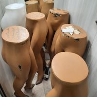 رگال و مانکن و اتاق پرو|فروشگاه و مغازه|تهران, صاحب الزمان|دیوار