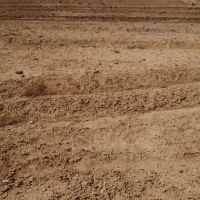 یک-قطعه-زمین-کشاورزی-بابت-سرمایه-گذاری