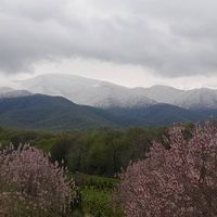 اجاره سوئیت گرگان توسکستان|اجارهٔ کوتاه‌مدت ویلا و باغ|گرگان, |دیوار