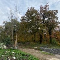 180متری-پروانه-دار-کتشال-ویو-ابدی