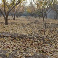 باغ-350متری-روران-نزدیک-جاده-اصلی