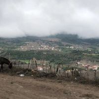 150-متر-زمین-در-روستای-خوش-آب-و-هوا-و-توریستی-لنگر